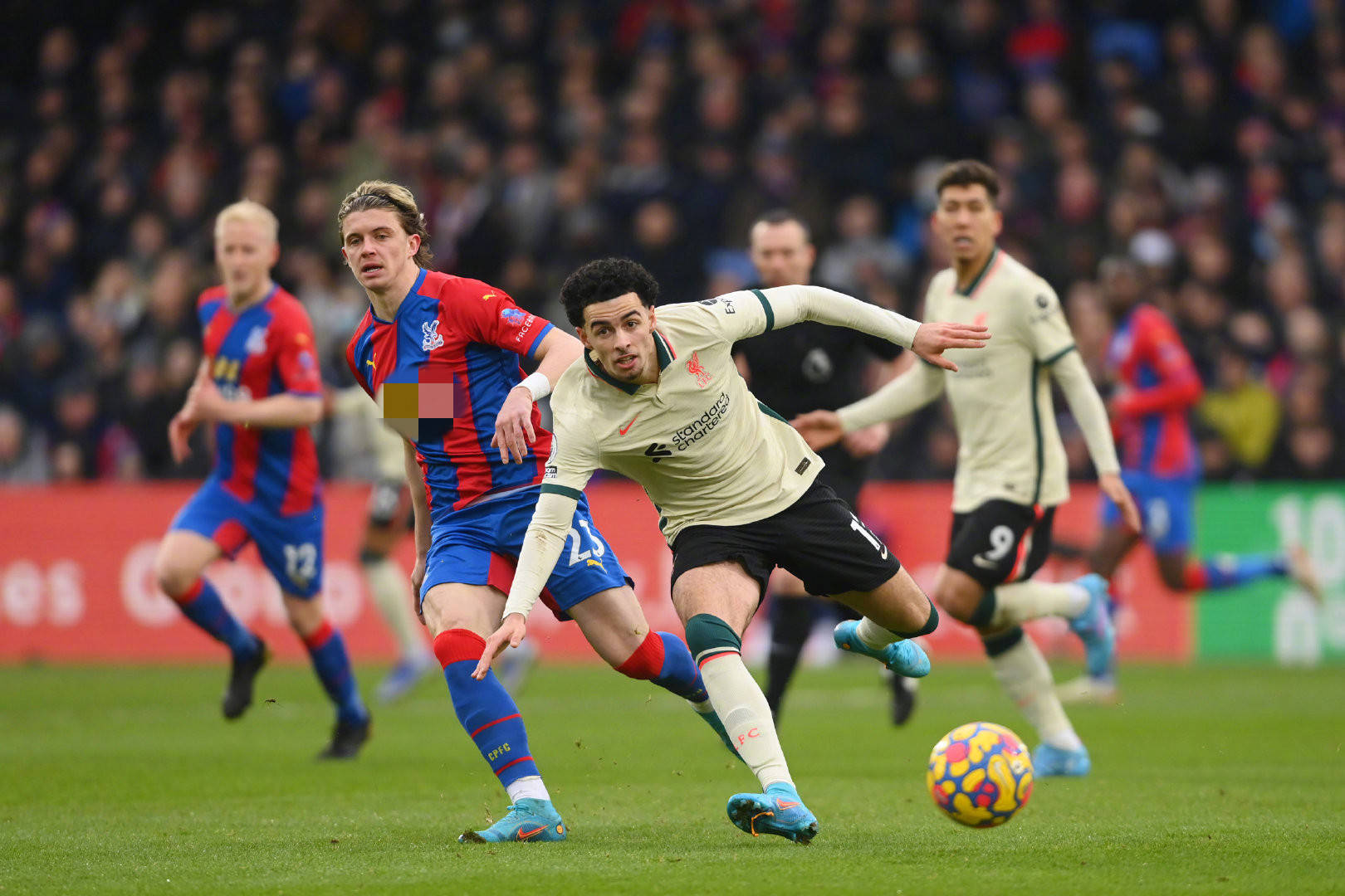 供了一个绝 供了一个绝